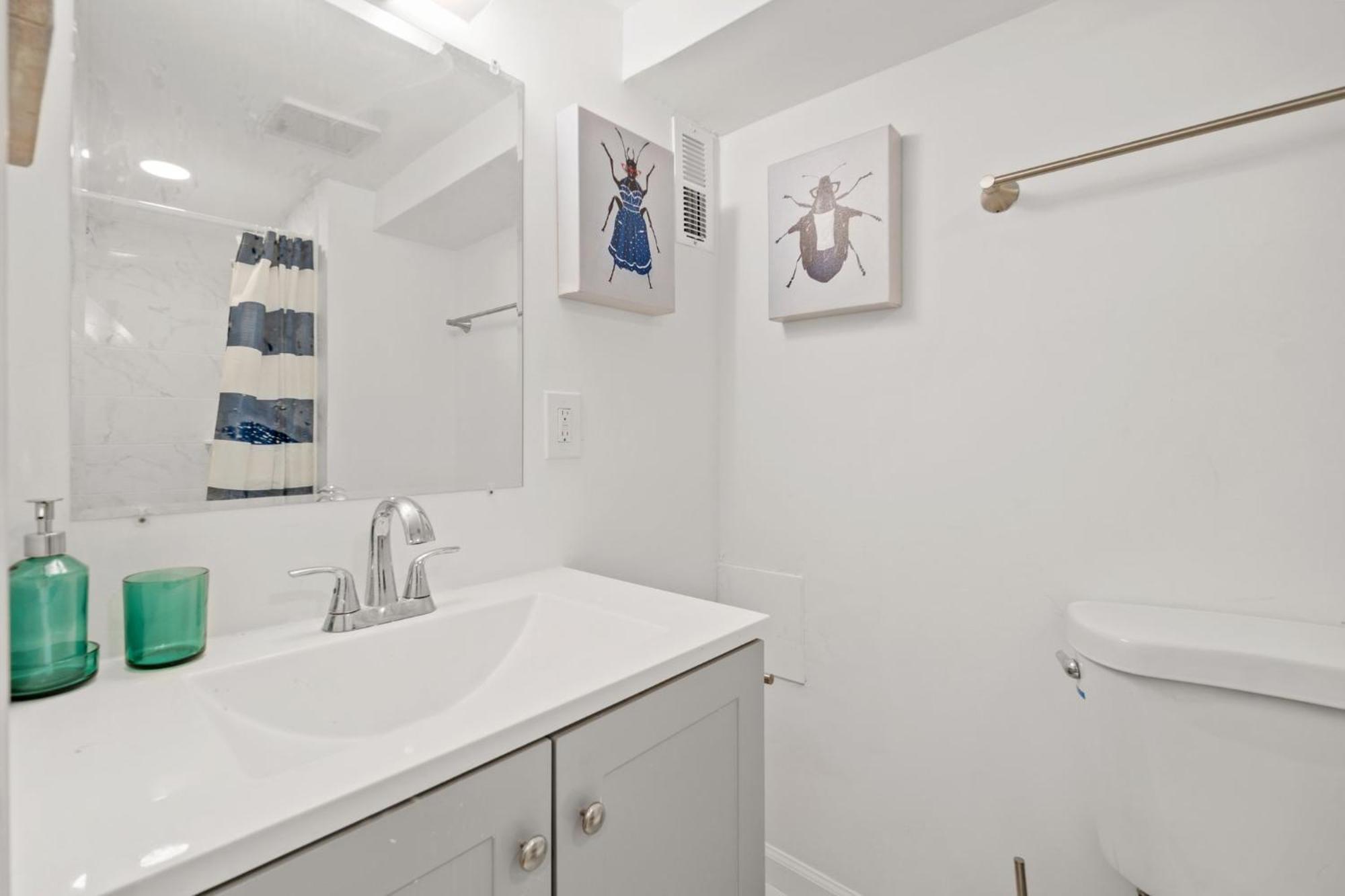 Negin 2903 - Basement Unit Διαμέρισμα Ουάσινγκτον Εξωτερικό φωτογραφία